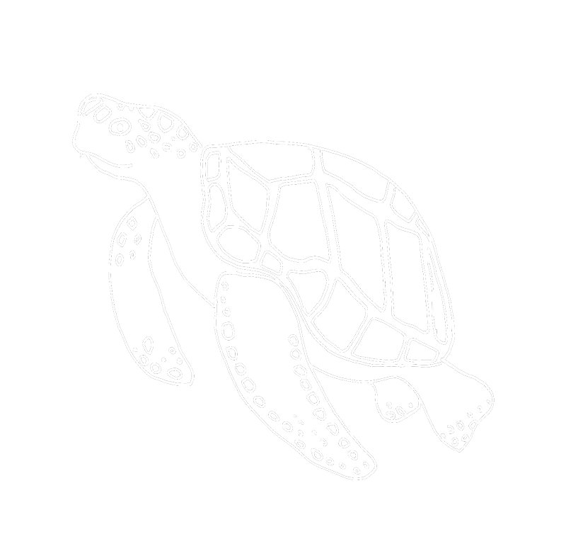 turtle_skizze